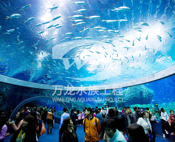 海洋館