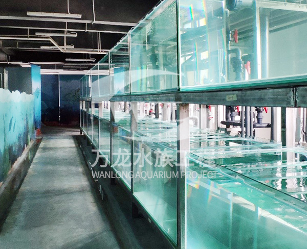 大型水族工程的工作原理是什么？