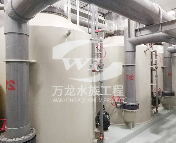 大型海洋主題公園如何設(shè)置水溫和水質(zhì)參數(shù)？