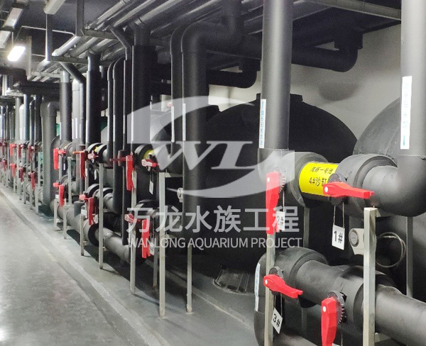 大型水族工程如何構(gòu)建生態(tài)系統(tǒng)？