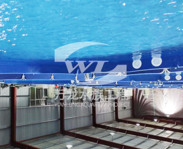 大型水族工程如何選擇合適的材料？