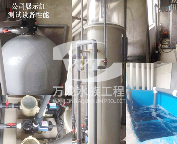 水族工程如何構(gòu)建生態(tài)系統(tǒng)？