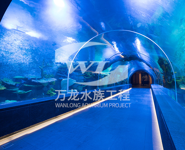 海洋館的發(fā)展趨勢是什么？