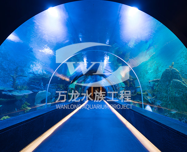 海洋館如何選擇合適的魚類？