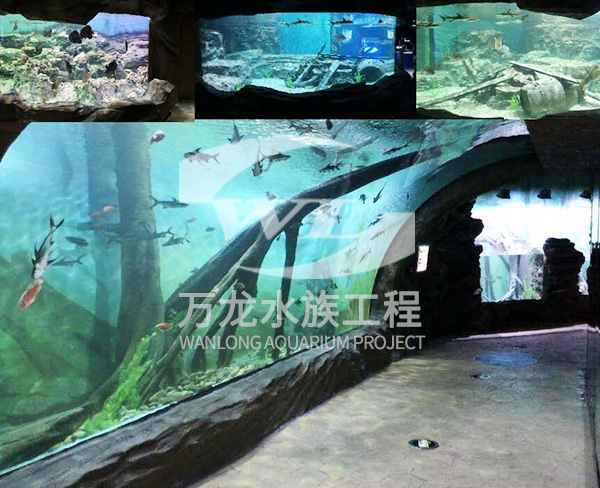 水族工程需要什么樣的過濾設(shè)備？