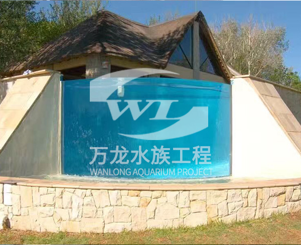 家庭魚(yú)缸適合養(yǎng)什么類(lèi)型的魚(yú)？