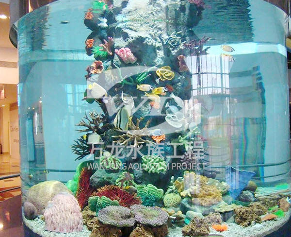 負(fù)壓魚(yú)缸的形狀有哪些選擇？