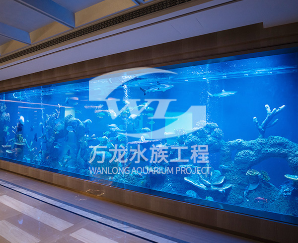 大型亞克力魚缸的耐用性如何？