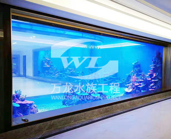 觀賞魚缸如何控制水質(zhì)？