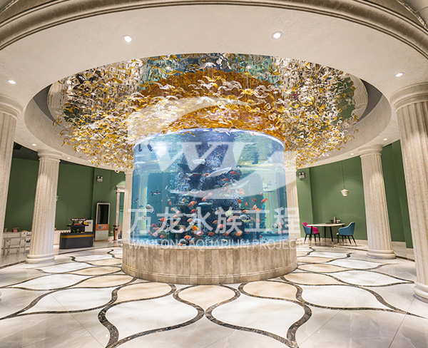 大型亞克力魚缸如何清潔和消毒？