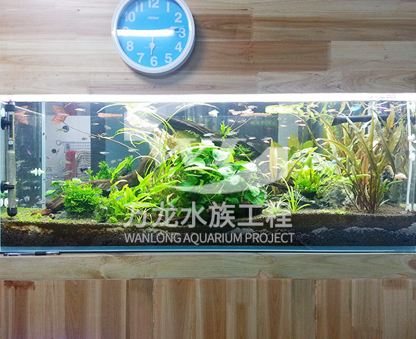 辦公室魚缸玻璃的功能