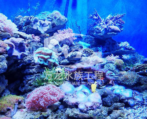海底景觀設(shè)計
