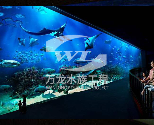 海底景觀設(shè)計