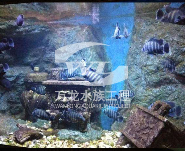 海底景觀設(shè)計