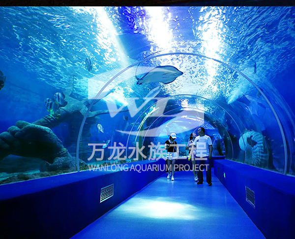 海底景觀設(shè)計