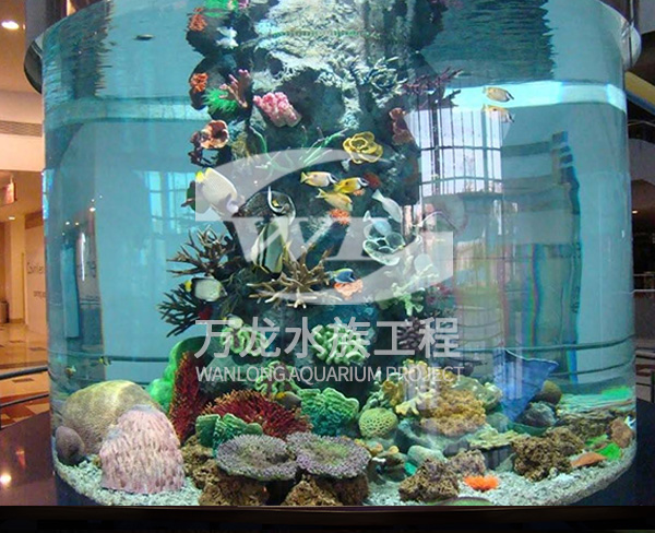 海底景觀設(shè)計