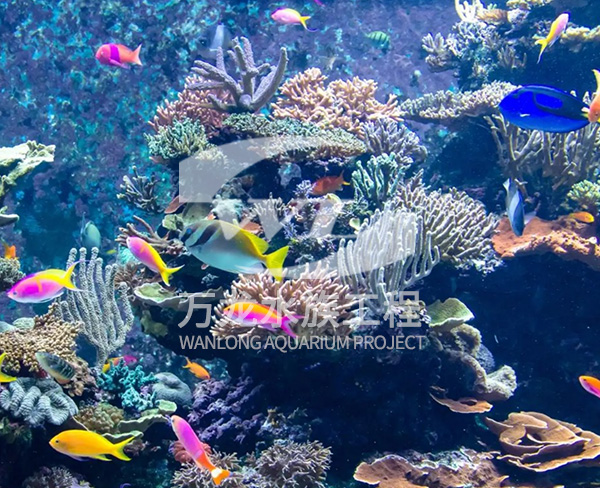 海底景觀設(shè)計