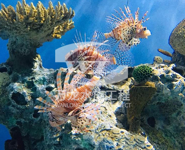 海底景觀設(shè)計