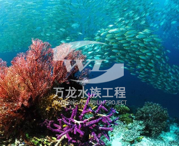 海底景觀設(shè)計