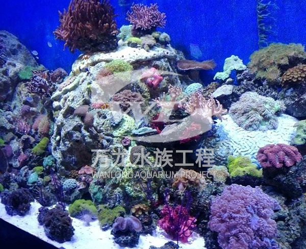 海底景觀設(shè)計