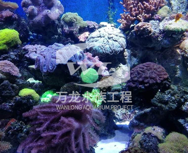 海底景觀設(shè)計