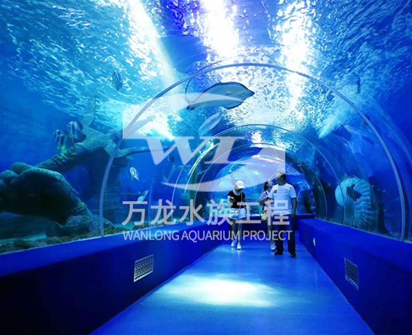 如何清理釣蝦魚缸