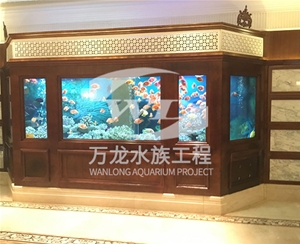 三步制作喂奶魚魚缸