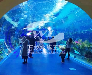 三步制作吃奶魚魚缸