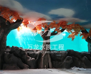 錦鯉魚缸的維護操作是什么