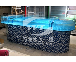 觀賞魚缸的過濾器使用特點(diǎn)