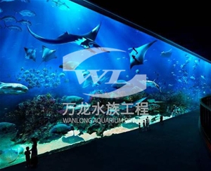 如何清理家庭魚缸