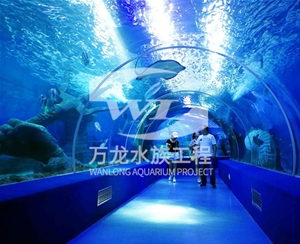 家庭魚缸的維護(hù)操作是什么